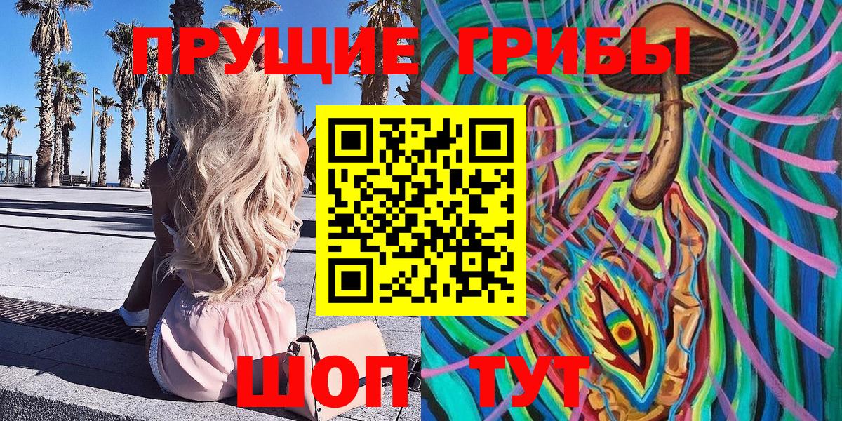 как найти закладки  Вход с VPN  Кудрово  Псилоцибиновые грибы Psilocybine cubensis 