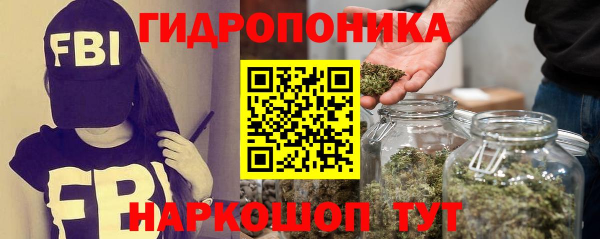 Бошки марихуана Amnesia Кудрово